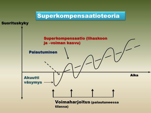 Bodarin_superkompensaatio